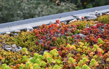 the cost of Aspley Heath green roof installation