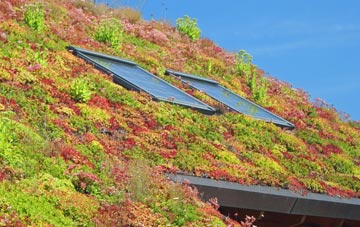 Aspley Heath living roof systems